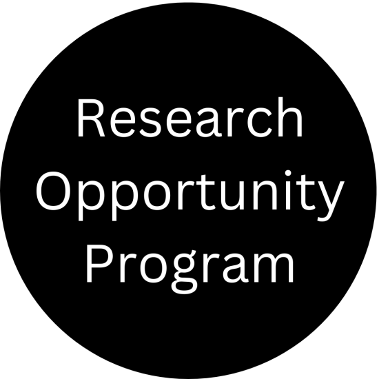Research Opportunity Program