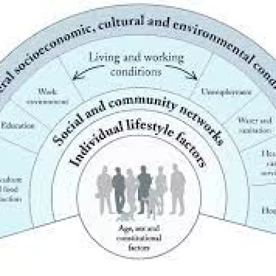social determinants of the health model