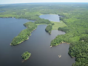 aerial view of forested land and water