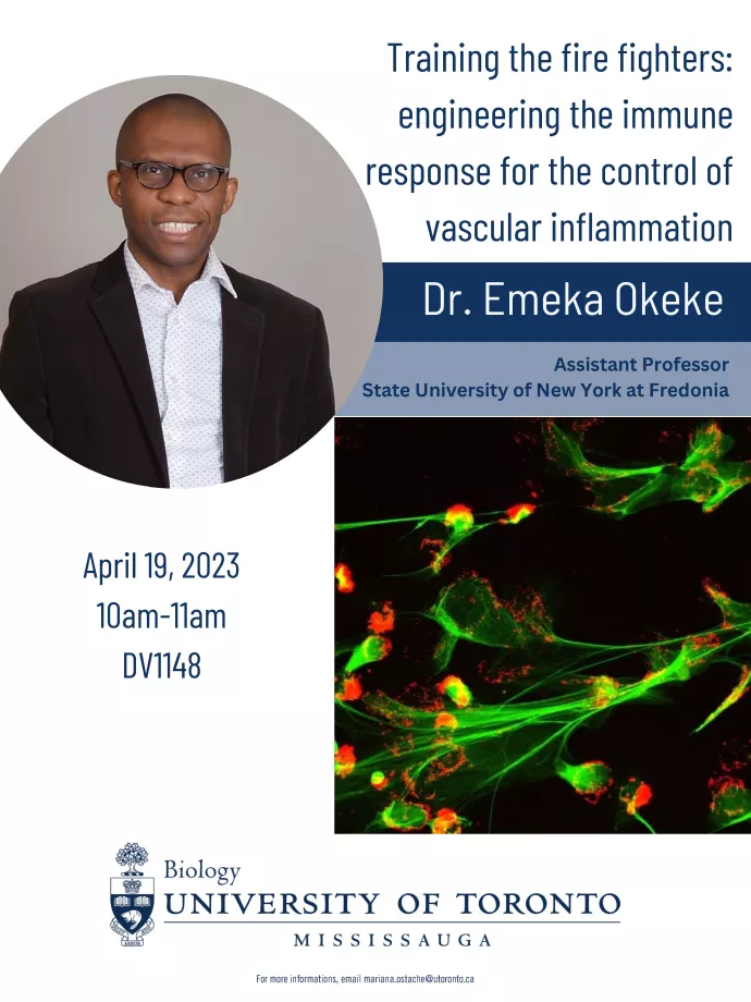 Poster for Dr. Okeke' Seminar