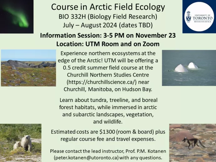 Poster for Info Session Arctic Field Ecology