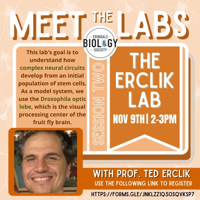 Meet the Lab Ted Erclik