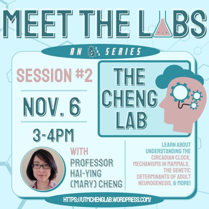 Meet the Lab 2