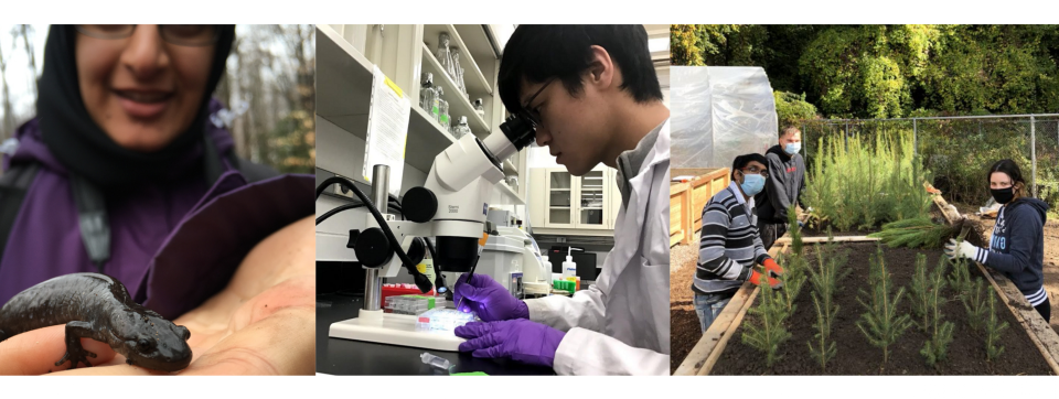 grad students working in labs and field