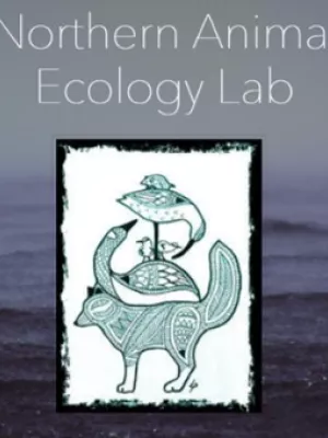 Northern Animal Ecology Lab logo