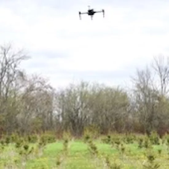 Drone flying over grassy area