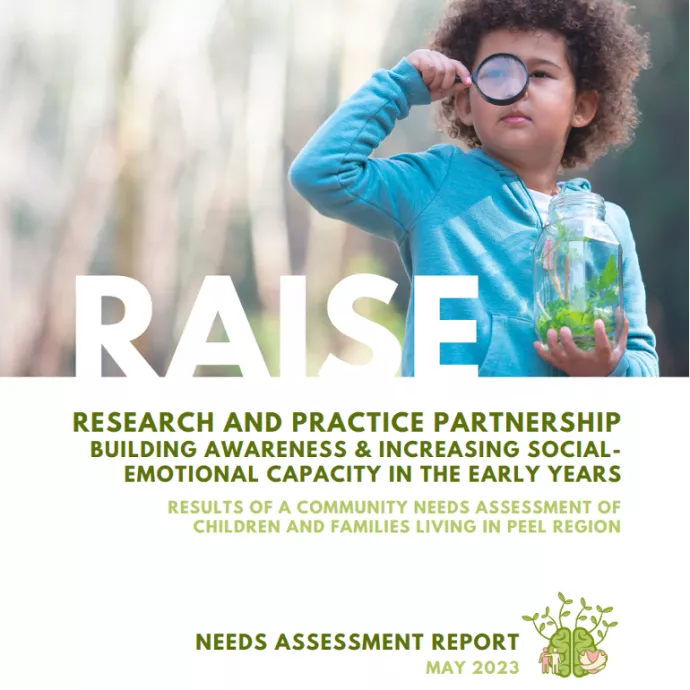 RAISE needs assessment report icon 
