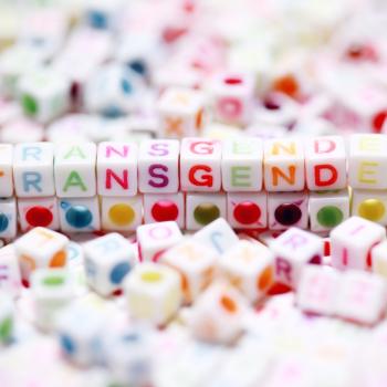 Colourful cubes that spell out the word "Transgender"