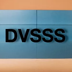 Logo of DVSSS
