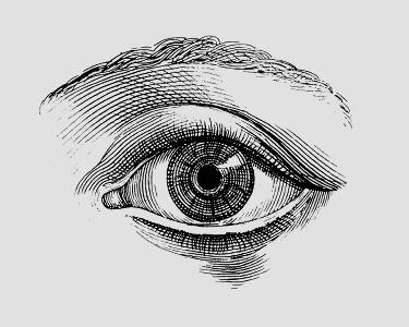 Drawing of a single eye