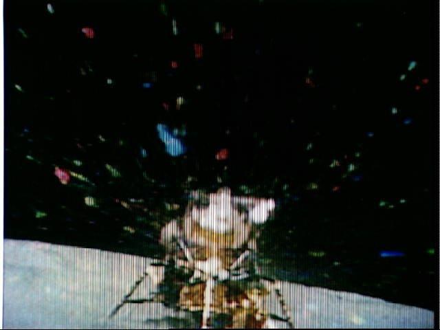 Television image of Apollo lunar module on the moon