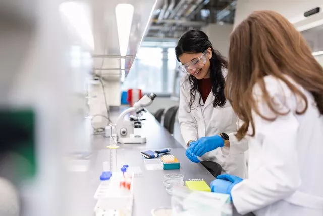 Students working in a lab setting