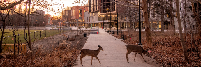 Students walking outside Innovation Complex in the summer