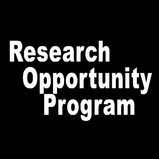GGR399Y5 Research Opportunity Program