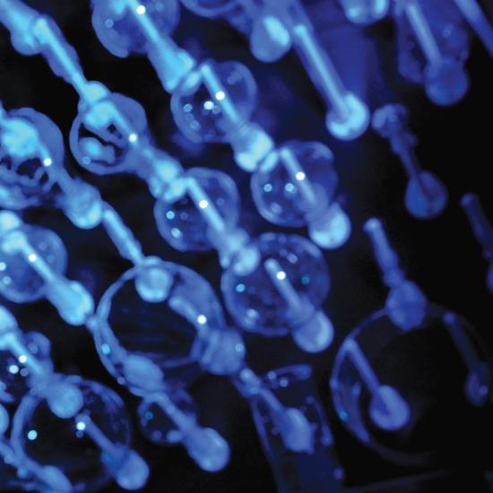 Cellular molecules illuminated