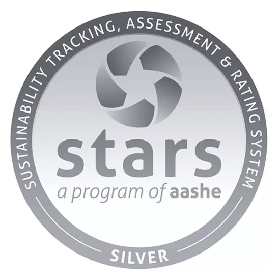 STARS silver logo 