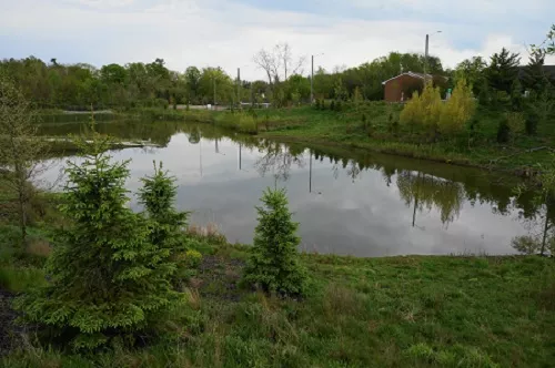 The stormwater pond as viewed from Outer Circle road