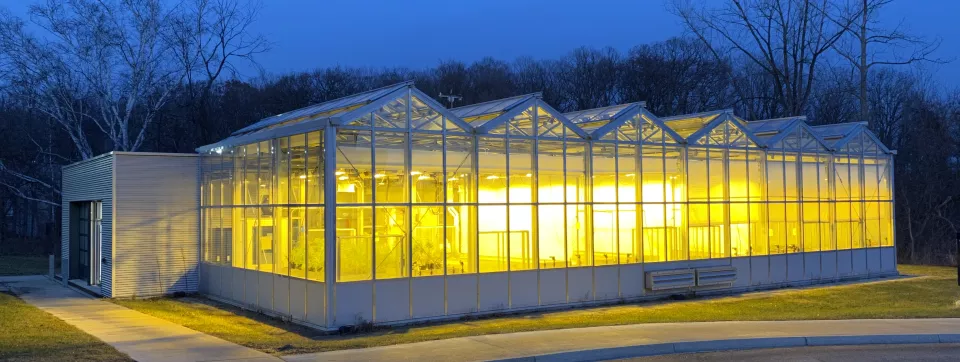UTM Research Greenhouse