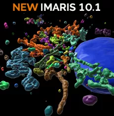 New IMARIS 10.1