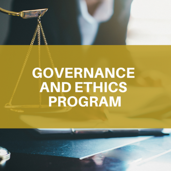 Governance program brochure image