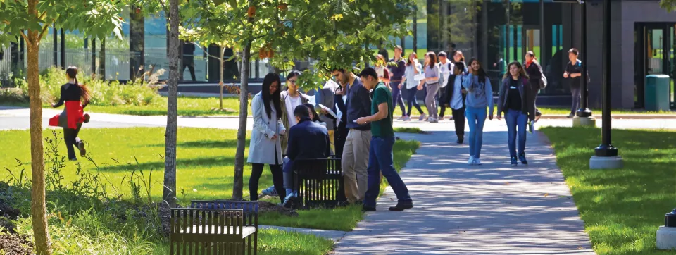 Group of students walking from the UTM library 