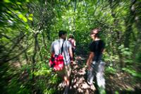 students walking through a wooded trail