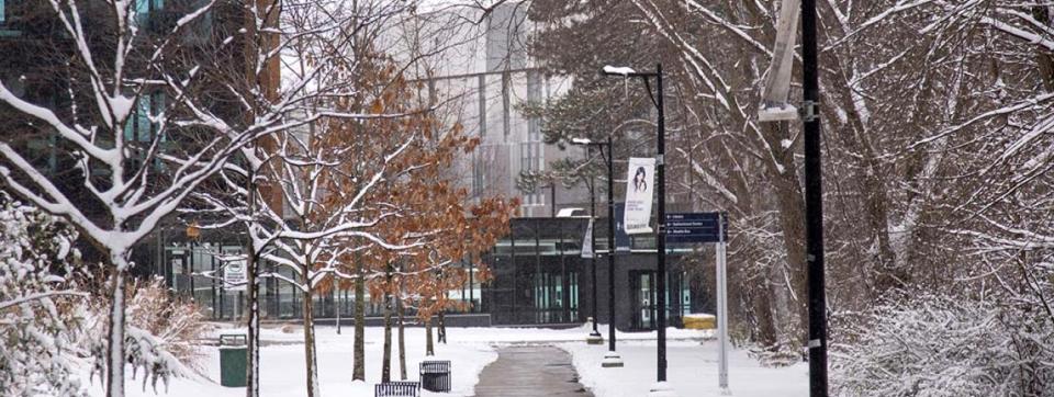UTM campus winter