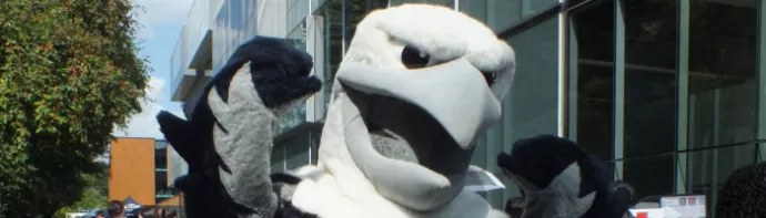 UTM's Eagle mascot smiling, in an outdoor setting.