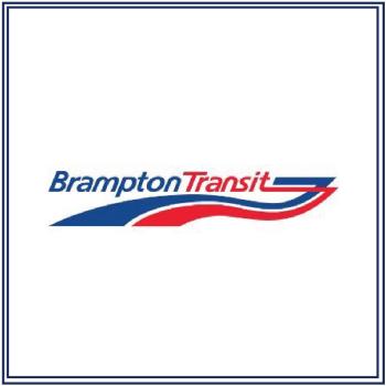 Brampton Transit