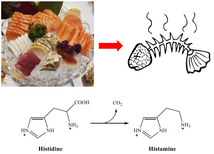 A diagram showing a tray of fresh sushi with an arrow pointing toward a cartoon of a rotten fish, aligned below with the structure of histidine with an arrow pointing toward the structure of histamine, with CO2 being lost. Image by David Armstrong.