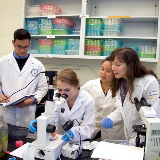 Students in lab coats at a microscope in a lab