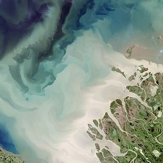 Satellite image of land and ocean in northern Canada. Image by USGS on Unsplash