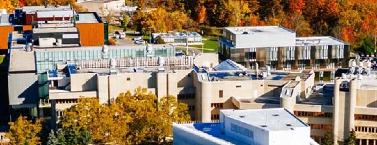 Aerial view of UTM campus in the fall, with the Toronto skyline in the background