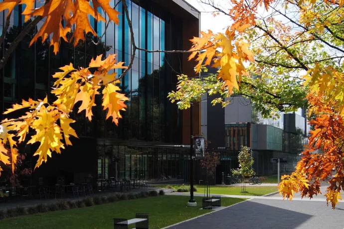 UTM building surrounded by fall leaves