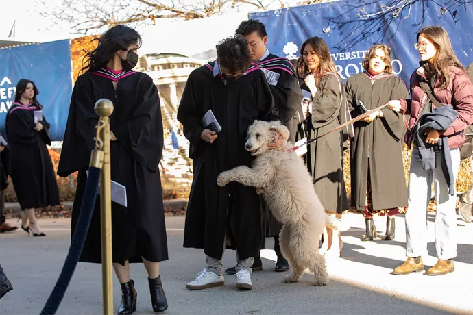 A line of students in black gowns waiting to enter Convocation Hall. An off-white medium-sized dog with a shaggy coat stands on its hind legs hugging one of the graduates.