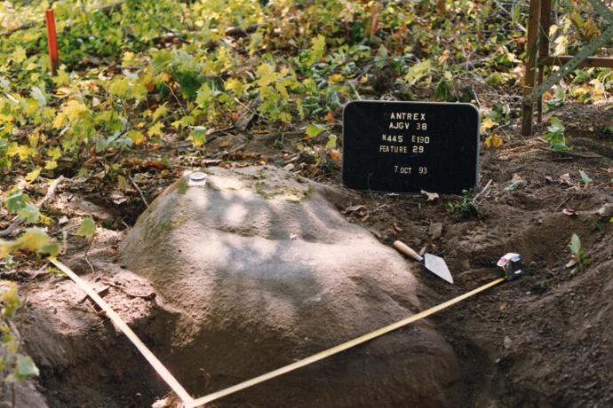 A large stone in the ground with measuring tapes on either side and a sign next to it that reads: Antrex AJGV 38 N445 E190 Feature 29 7 Oct 93.