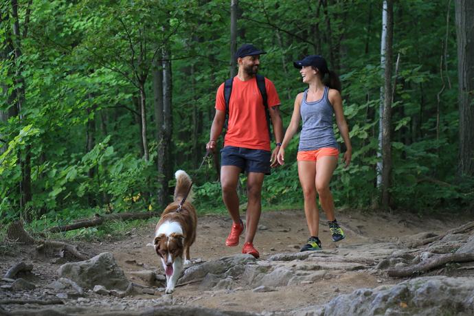 Man and woman in shorts and baseball caps walking along rocky path in the woods with a brown and white medium sized dog