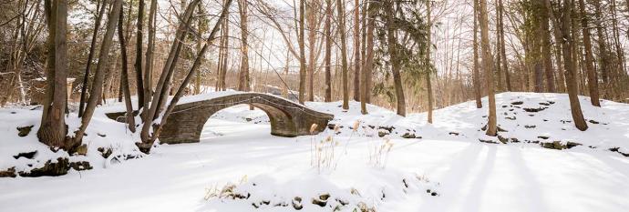 Watkins pond bridge and trees covered in snow