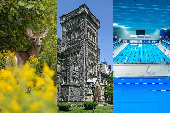 Grid of three photos, first is a deer in front of trees looking at the camera, middle is of a stone square tower with arched windows, last is of a poool with 10 lanes