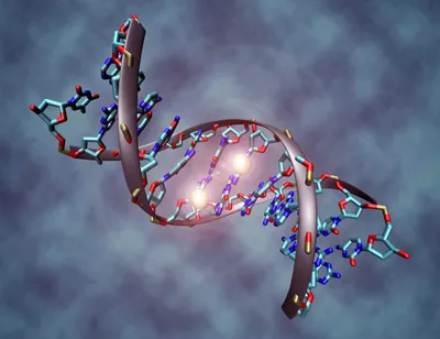 Image of DNA molecule