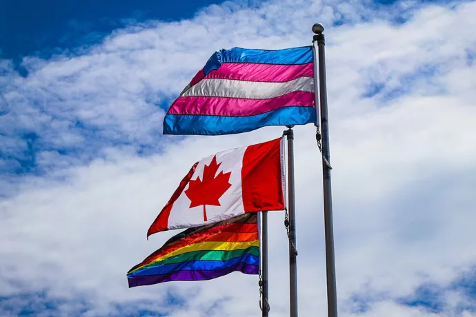 Three flags at the top of three flagpoles blowing in the breeze, first flag has horizontal stripes in the following order, top to bottom: blue, pink, white, pink blue. The middle flag is the Canadian flag, with a red maple leaf on a white background and red bars on either side. The flag in the background has horizontal stripes in the following order, from top: brown, red, orange, yellow, green, blue, purple