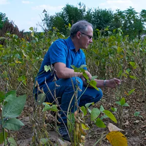 Professor Gary Crawford examines soybean plants in China