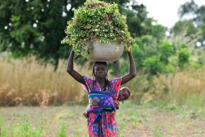 Ghanian woman carries basket of groundnuts on her head and a baby on her back