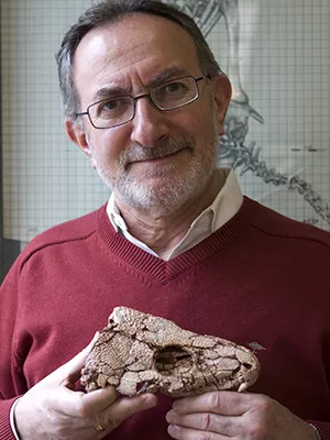 Professor Robert Reisz holding fossil skull.
