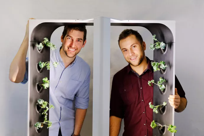Two men standing behind a hydroponic indoor garden with lettuce growing vertically