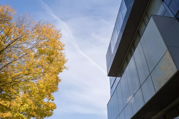 photo of building, tree in autumn and blue sky