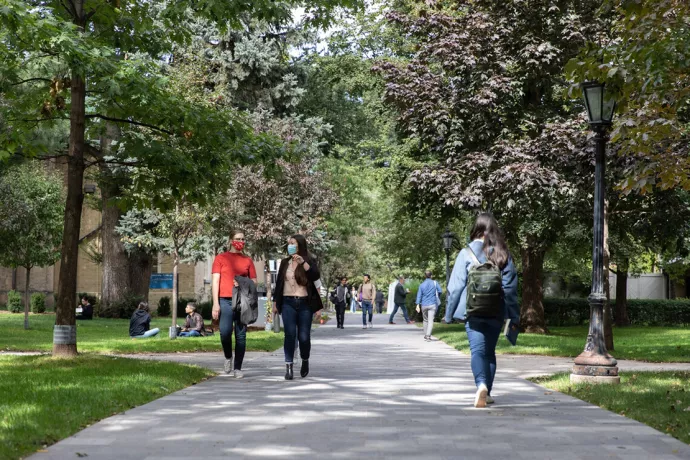 Students walking on paved, tree-lined path toward camera
