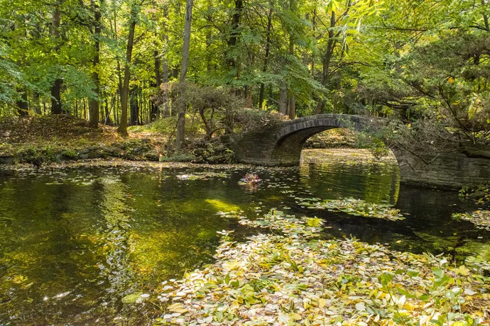 Stone bridge arching over a pond with leaves floating on the water. Trees in the background.