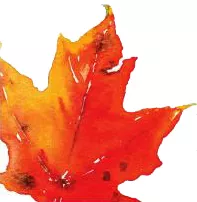 Leaf image for Canadian Perspective lecture series