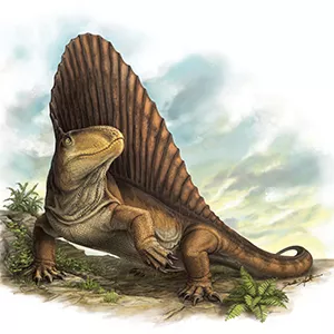 An artist's impression of Dimetrodon